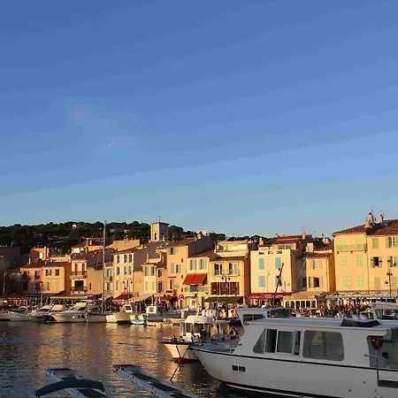 Little Sweet Love Cassis