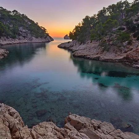 Little Sweet Love Cassis